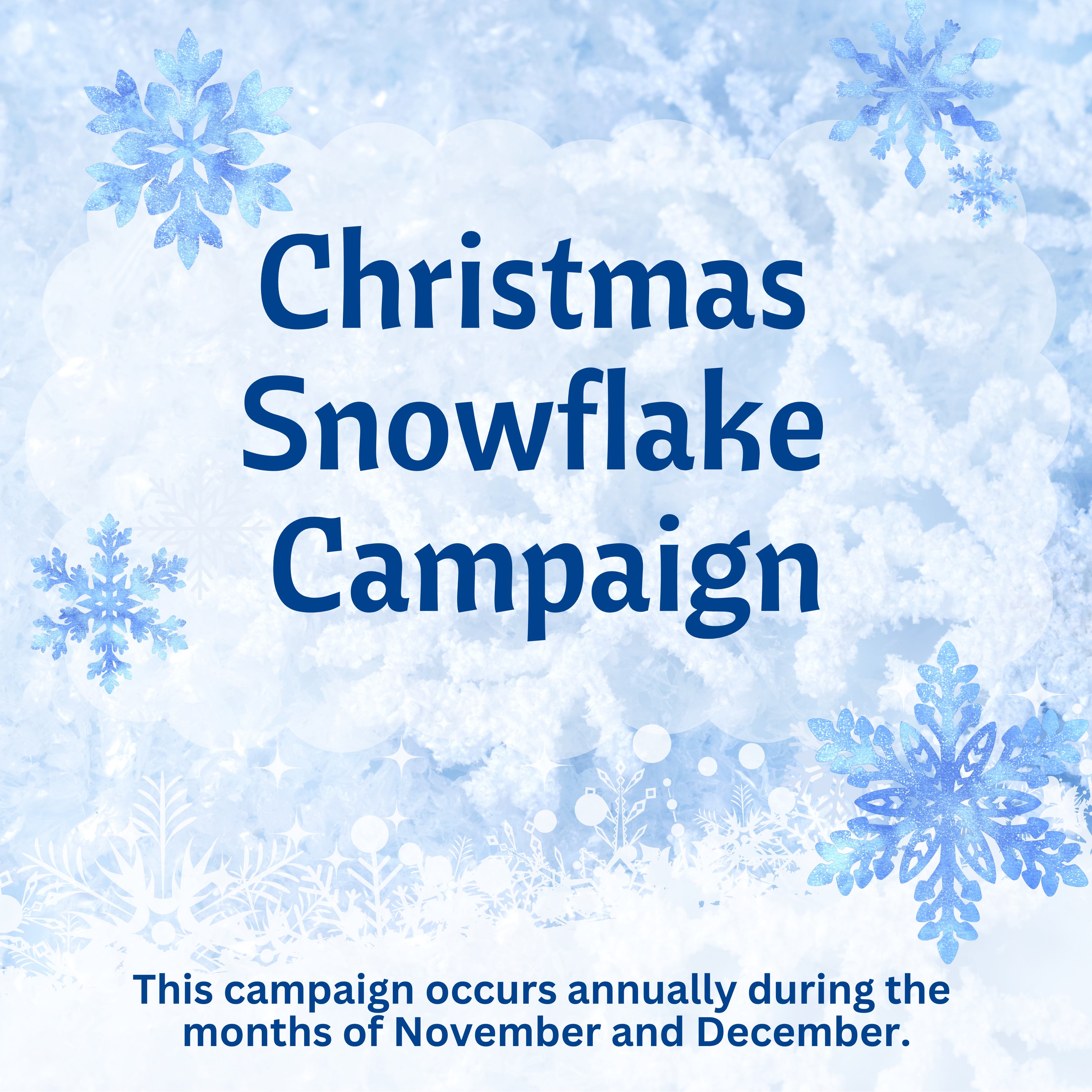 Descriptive Image of Christmas Snowflake Campaign